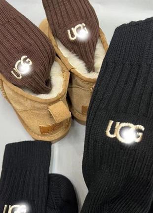 Носки ugg , шкарпетки