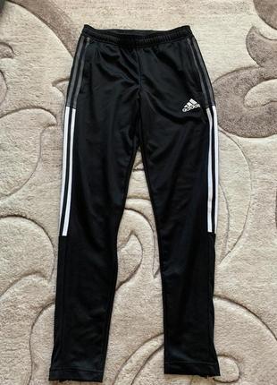 Мужские спортивные штаны adidas