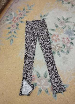 Лосины лео zara