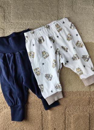 Комплект брюк /можное отдельно