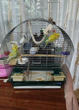 Клетка для попугаев