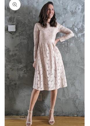 Мереживне плаття з довгими рукавами h&m розміруs.