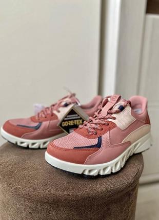 Кросівки шкіряні оригінал ecco multi-vent 880144 рр.35