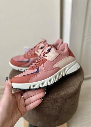 Кросівки шкіряні оригінал ecco multi-vent 880144 рр.35