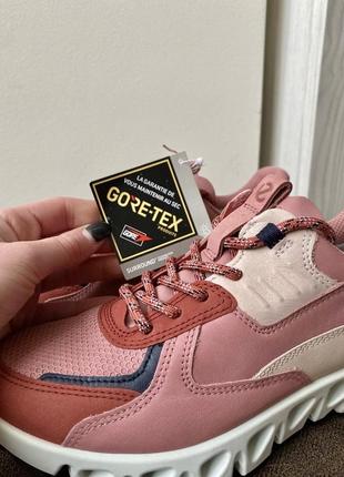 Кросівки шкіряні оригінал ecco multi-vent 880144 рр.35