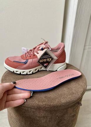 Кросівки шкіряні оригінал ecco multi-vent 880144 рр.35