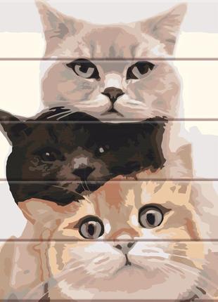Картина за номерами на дереві "ризноколірові коти" artstststory 30х40 см різнокольоровий cl0041120