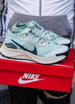 Кроссовки мужские nike Jordans pegasus trail 3 gore-tex