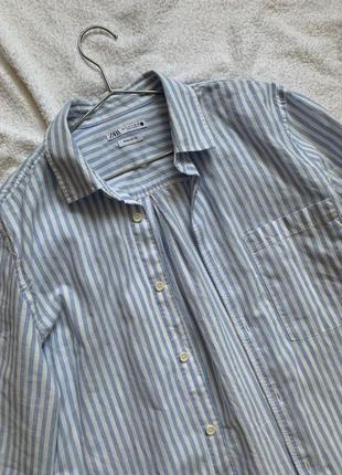 Базова сорочка бавовняна в блакитну полоску zara