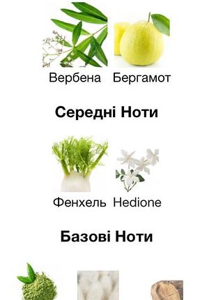 Aqua media cologne forte