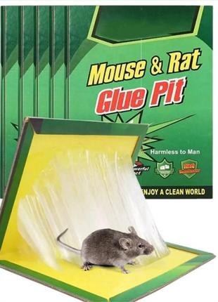 Клейова пастка від гризунів набір 5 шт.