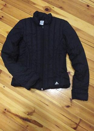 Куртка s,m adidas