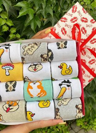 Бокс жіночих високих шкарпеток 36-41 на 12 пар у подарунковій коробці|знижка|