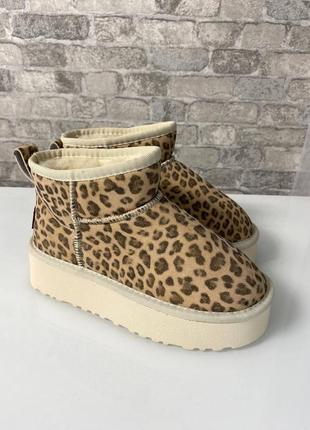 Зимові уггі ugg