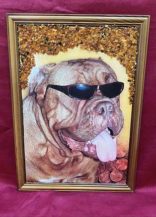 Картина бульдог з бурштину.