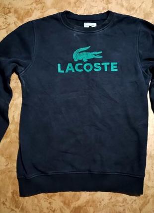 Толстовка lacoste розмір xl