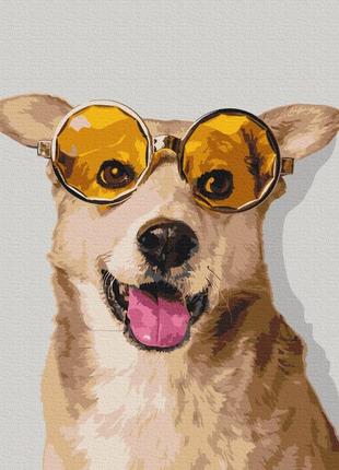 Преміум картина за номерами brushme 40x50см "коргі-хіпстер" pbs52094