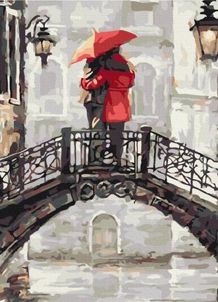 Преміум картина за номерами brushme 40x50см "закохані під дощем" pbs51976