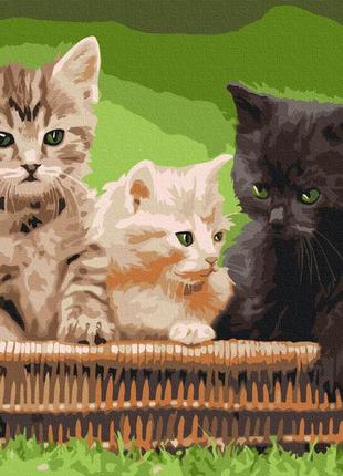 Преміум картина за номерами brushme 40x50см "кошенята в корзині" pbs52621