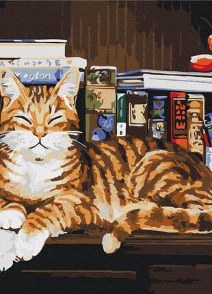 Преміум картина за номерами brushme 40x50см "кіт на книжковій полиці" pbs4142