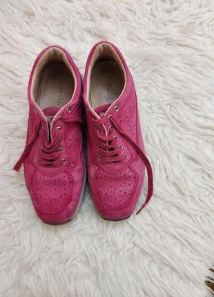 Кросівки hogan