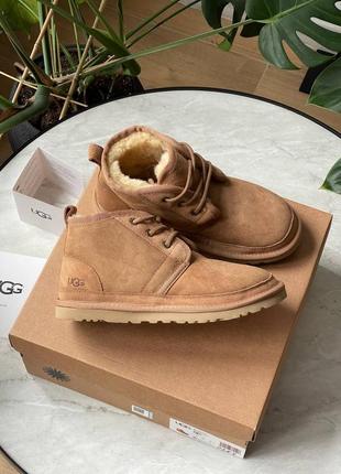 Угги уггі угг ugg neumel chestnut