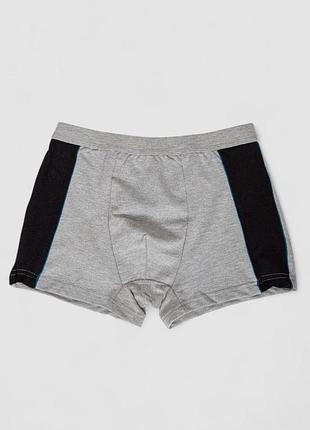 Трусы-шорты мужские, цвет серый, 253r8026-1