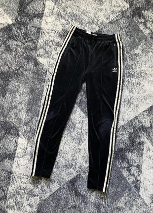 Велюрові жіночі штани adidas originals