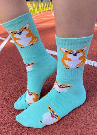 Шкарпетки жіночі високі 1 пара "коргі" м’ятний 36-41 р |швидка доставка|