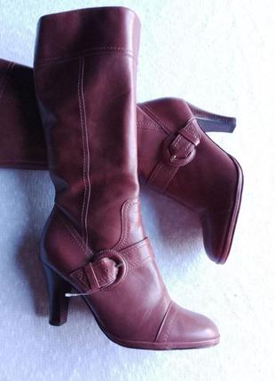 Жіночі демісезонні чоботи бренду clarks.