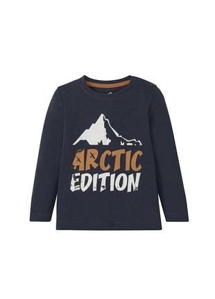 Кофта, реглан lupilu