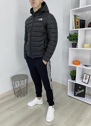 Куртка the north fsce 5