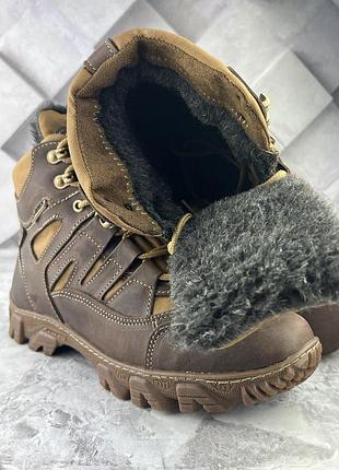 Хижак зима