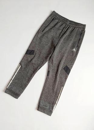 Штаны спортивные мужские утепленные adidas p. m