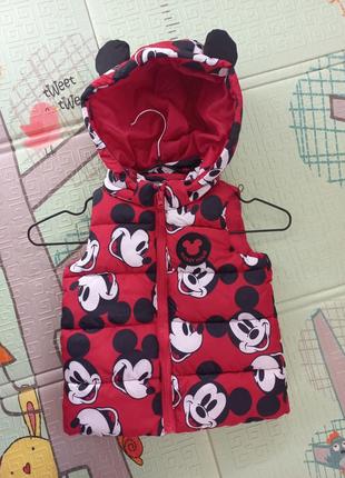Жилетка микки