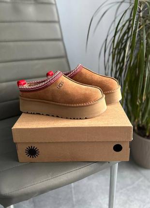 Уги угі угги уггі ugg tasman platform chestnut