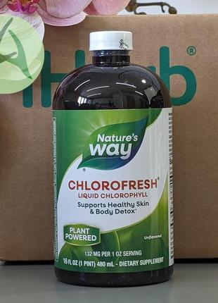 Nature's way, chlorofresh, жидкий хлорофилл, без добавок, 480 мл