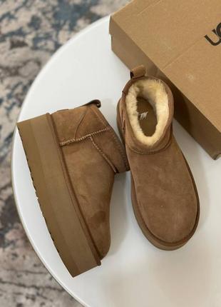 Угги ugg