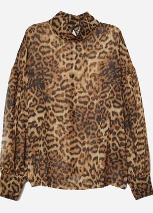 Блузка h&m