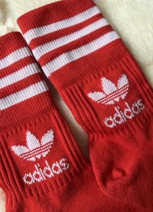 Красные высокие носки носки adidas размер xs2 фото