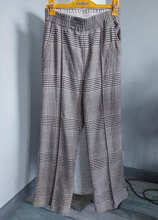 Картаті штани h&m