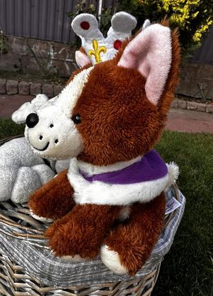 Собачка коргі софі корги софі королева