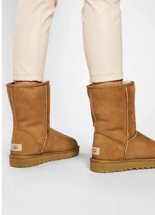 Оригинал! замшевые сапоги на овчине угги ugg р.38 стелька 25см