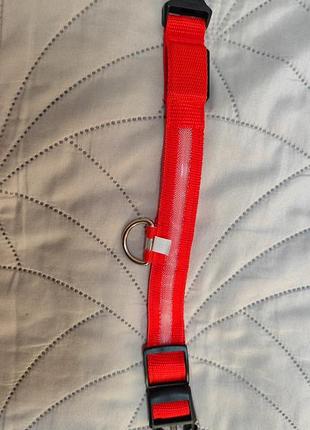 Ошейник для средних собак с подсветкой