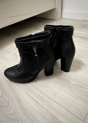 Чоботи черевики