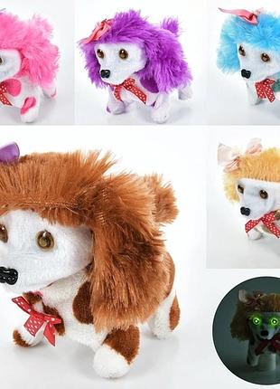 Музыкальная собачка 🐶