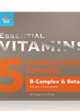 Бетаин и в-витамины - essential vitamins