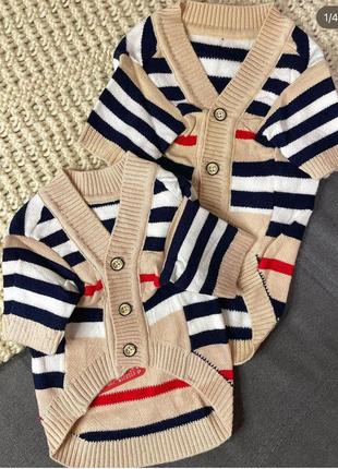 Одяг для тварин