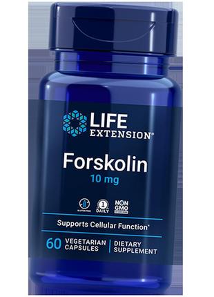 Екстракт колеуса форсколії, forskolin life extension 60вегкапс (71346022)
