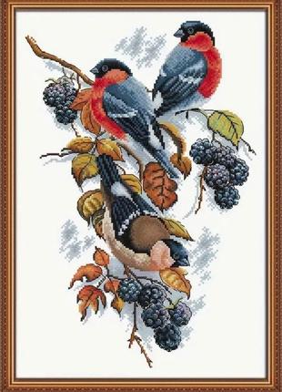 Набор для вышивания крестиком "red bellies magpies".aida 14ct printed , 33*45 см